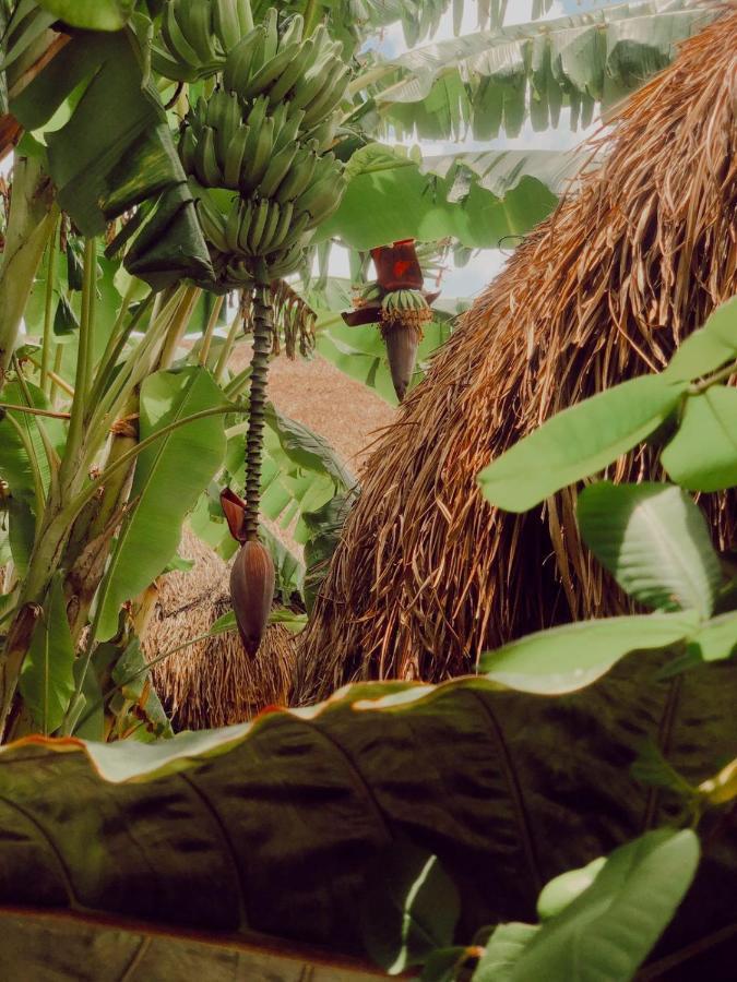 Aldea Che-Eek , Con Acceso A Un Club De Playa Privado Otel Bacalar Dış mekan fotoğraf